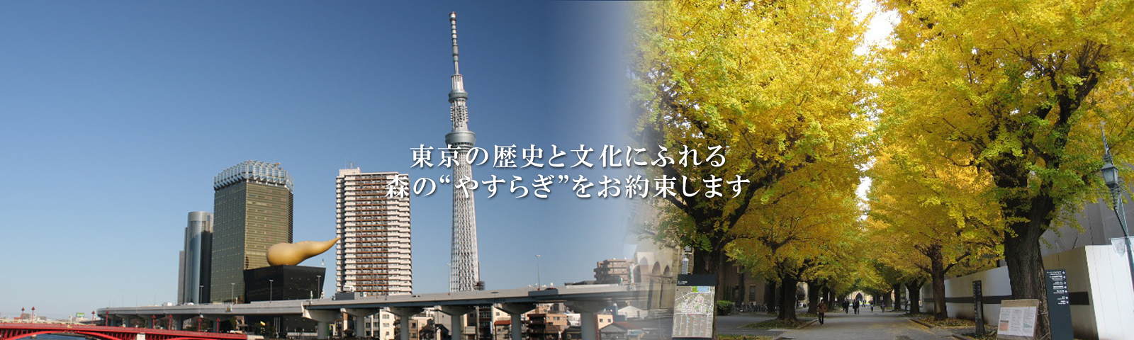 東京の歴史と文化にふれる森の”やすらぎ”をお約束します